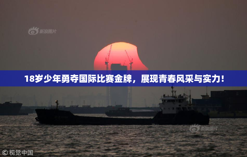 18岁少年勇夺国际比赛金牌，展现青春风采与实力！