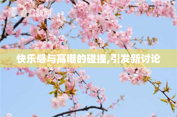 快乐感与高嘲的碰撞,引发新讨论