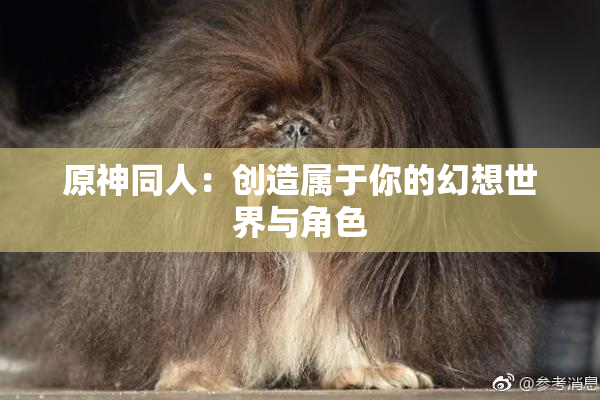 原神同人：创造属于你的幻想世界与角色