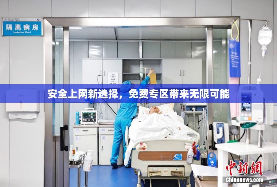 安全上网新选择，免费专区带来无限可能