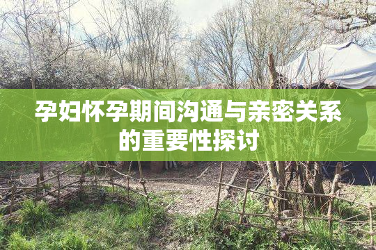 孕妇怀孕期间沟通与亲密关系的重要性探讨
