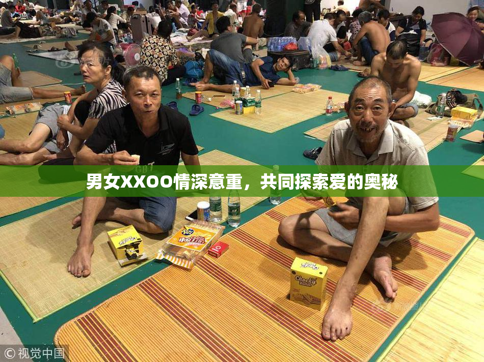 男女XXOO情深意重，共同探索爱的奥秘
