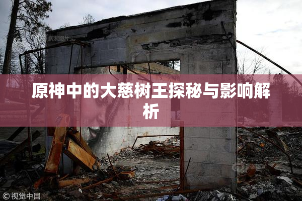 原神中的大慈树王探秘与影响解析