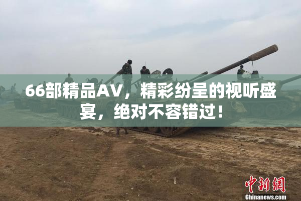66部精品AV，精彩纷呈的视听盛宴，绝对不容错过！