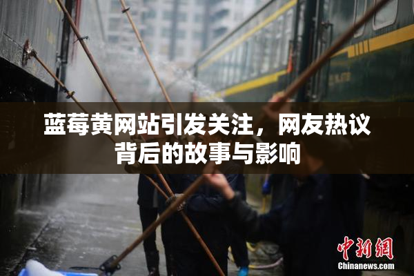 蓝莓黄网站引发关注，网友热议背后的故事与影响