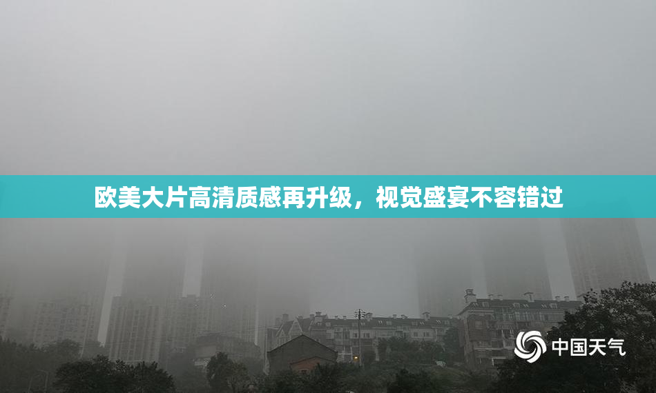 欧美大片高清质感再升级，视觉盛宴不容错过