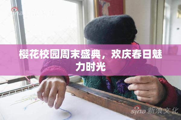 樱花校园周末盛典，欢庆春日魅力时光