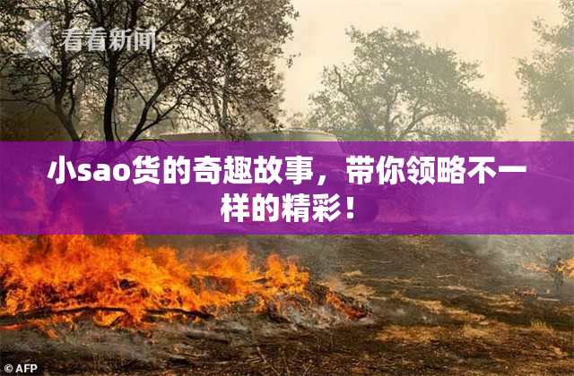 小sao货的奇趣故事，带你领略不一样的精彩！