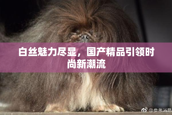 白丝魅力尽显，国产精品引领时尚新潮流
