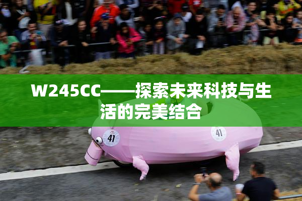 W245CC——探索未来科技与生活的完美结合
