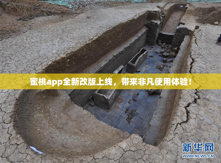 蜜桃app全新改版上线，带来非凡使用体验！