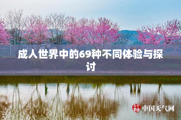 成人世界中的69种不同体验与探讨