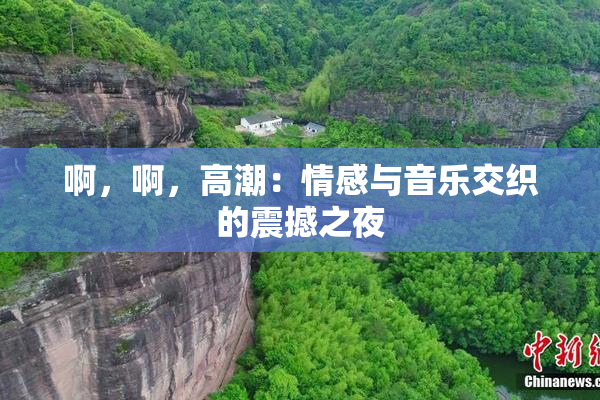 啊，啊，高潮：情感与音乐交织的震撼之夜