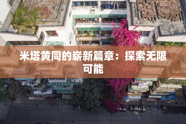 米塔黄同的崭新篇章：探索无限可能