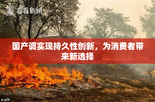 国产调实现持久性创新，为消费者带来新选择