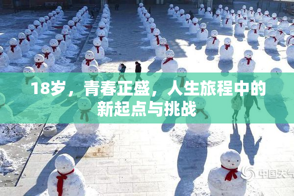 18岁，青春正盛，人生旅程中的新起点与挑战