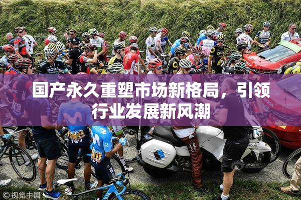 国产永久重塑市场新格局，引领行业发展新风潮