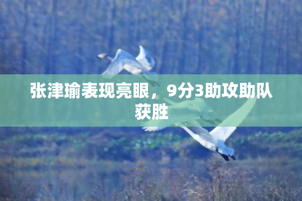 张津瑜表现亮眼，9分3助攻助队获胜