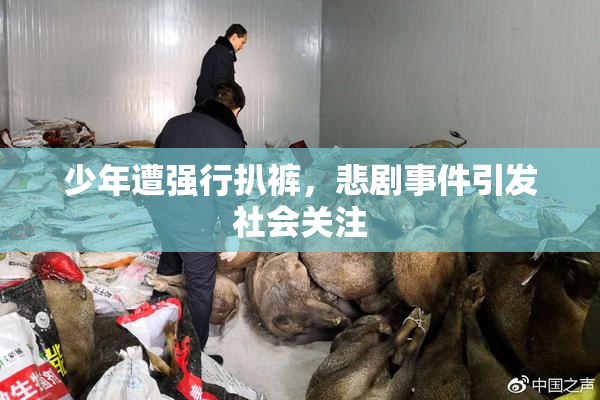 少年遭强行扒裤，悲剧事件引发社会关注