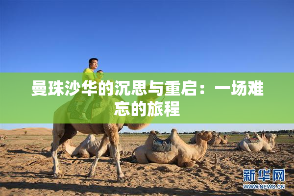曼珠沙华的沉思与重启：一场难忘的旅程