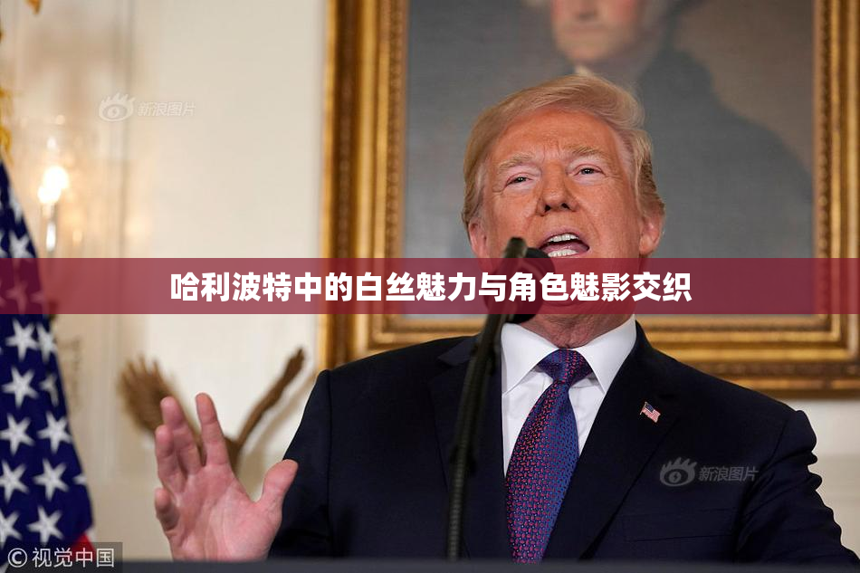哈利波特中的白丝魅力与角色魅影交织