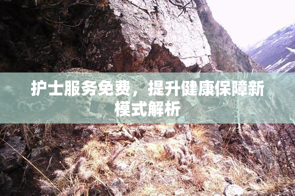 护士服务免费，提升健康保障新模式解析