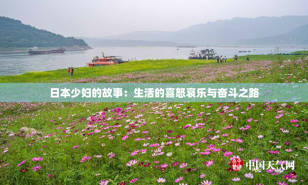 日本少妇的故事：生活的喜怒哀乐与奋斗之路