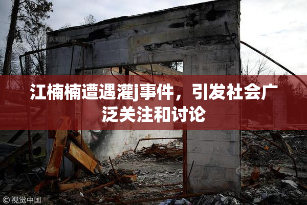 江楠楠遭遇灌j事件，引发社会广泛关注和讨论