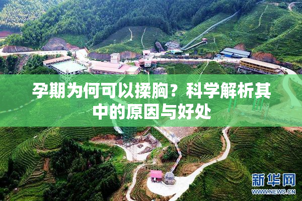 孕期为何可以揉胸？科学解析其中的原因与好处