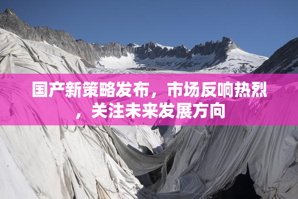 国产新策略发布，市场反响热烈，关注未来发展方向