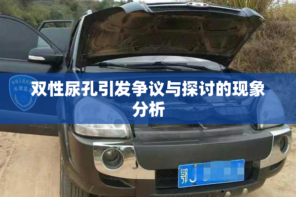 双性尿孔引发争议与探讨的现象分析