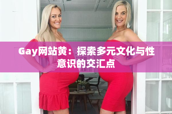 Gay网站黄：探索多元文化与性意识的交汇点