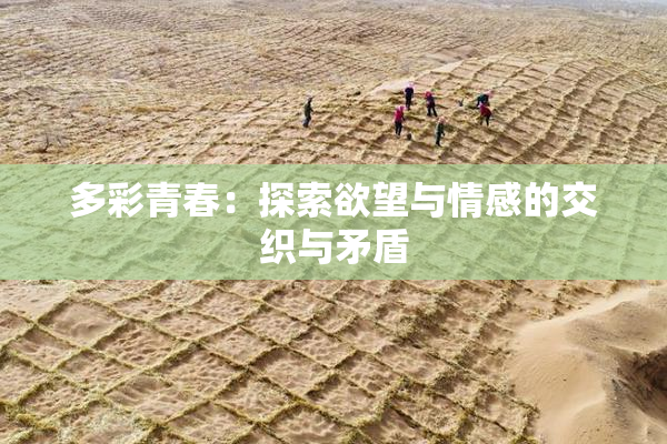 多彩青春：探索欲望与情感的交织与矛盾