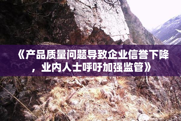 《产品质量问题导致企业信誉下降，业内人士呼吁加强监管》