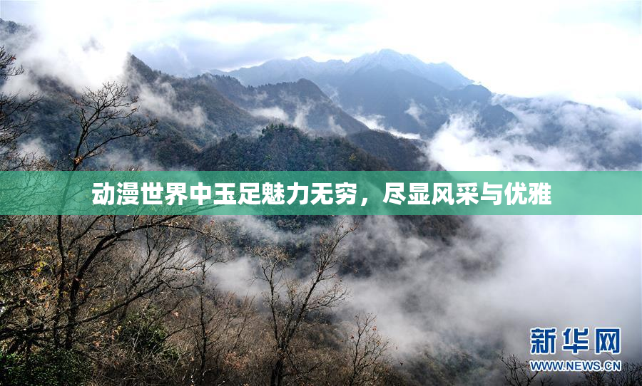 动漫世界中玉足魅力无穷，尽显风采与优雅