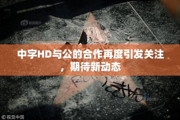 中字HD与公的合作再度引发关注，期待新动态