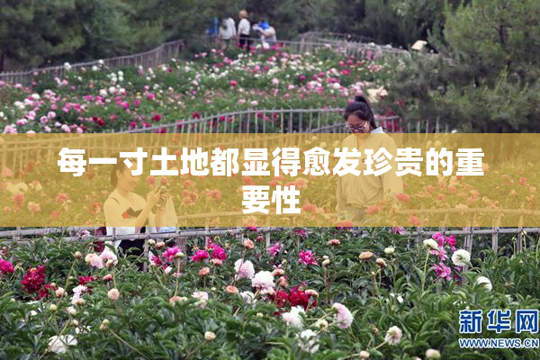 每一寸土地都显得愈发珍贵的重要性