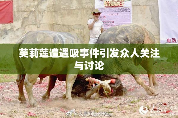 芙莉莲遭遇吸事件引发众人关注与讨论
