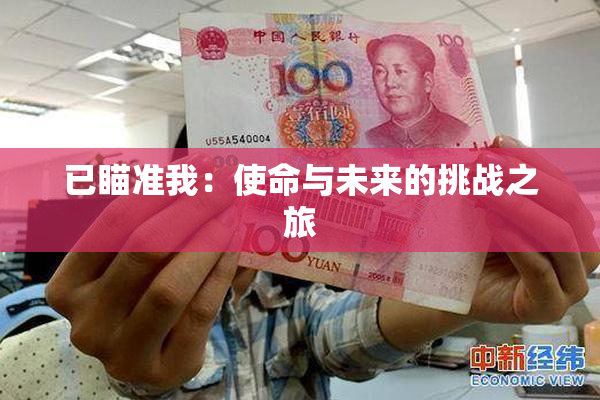 已瞄准我：使命与未来的挑战之旅