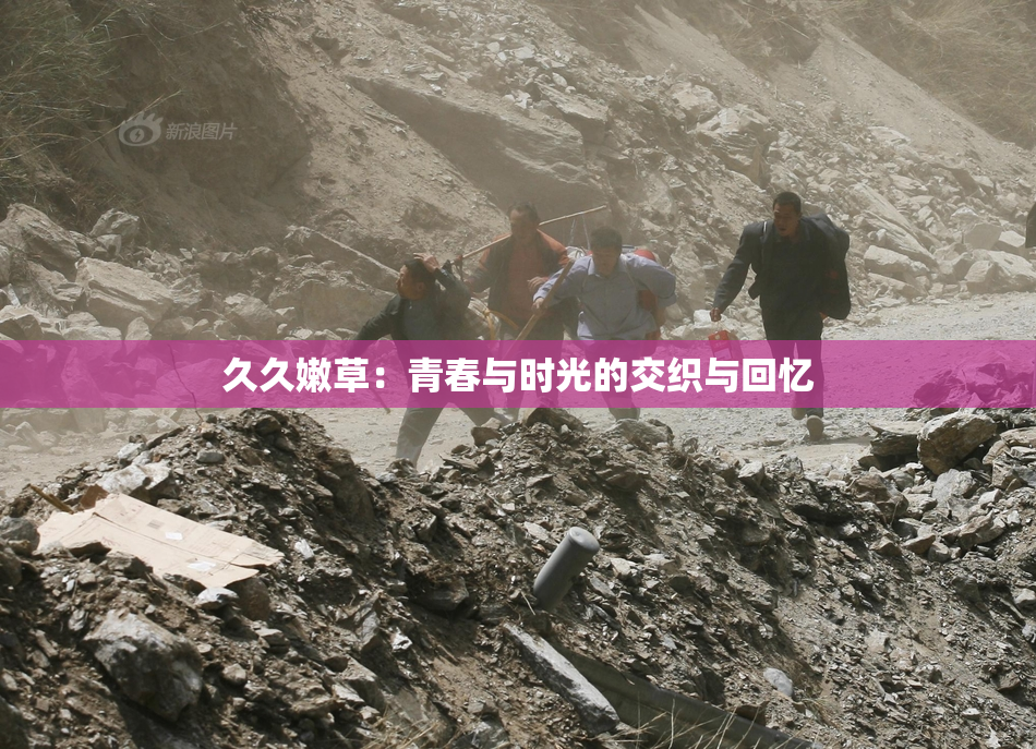 久久嫩草：青春与时光的交织与回忆