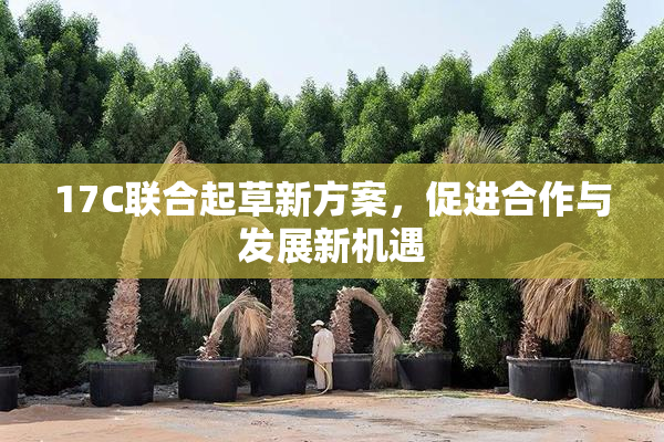 17C联合起草新方案，促进合作与发展新机遇