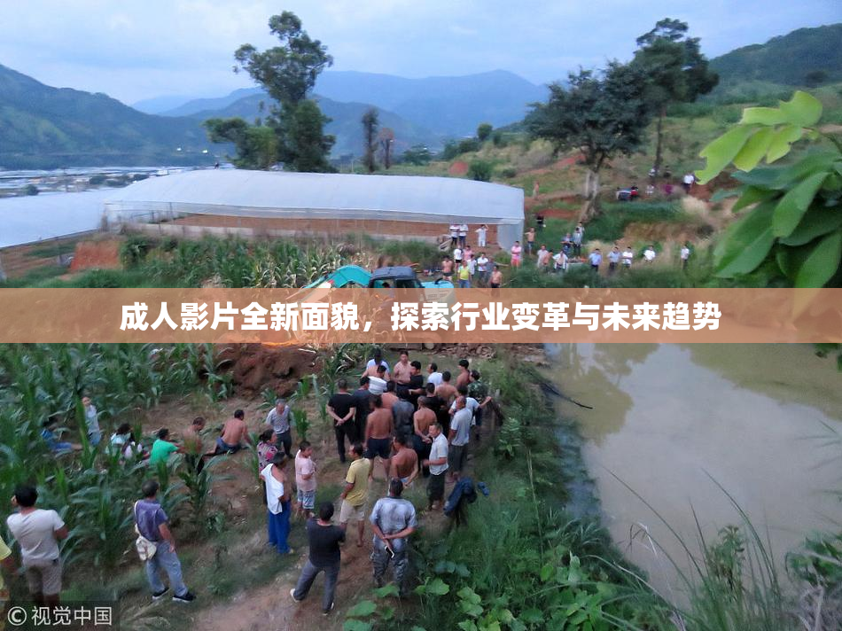 成人影片全新面貌，探索行业变革与未来趋势