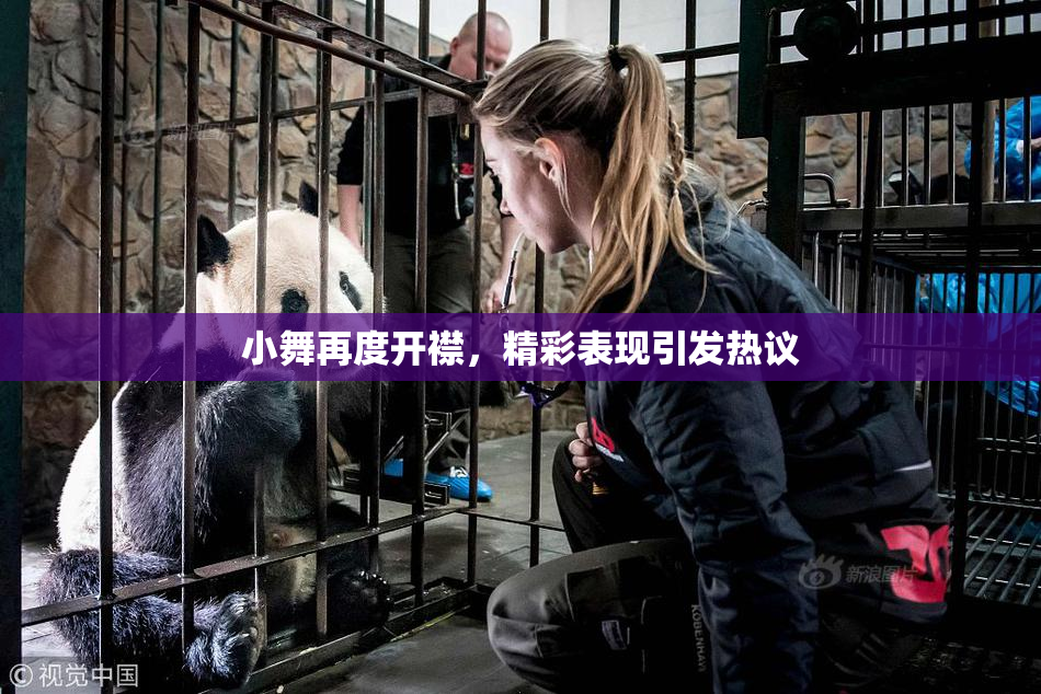 小舞再度开襟，精彩表现引发热议