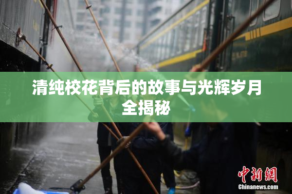 清纯校花背后的故事与光辉岁月全揭秘
