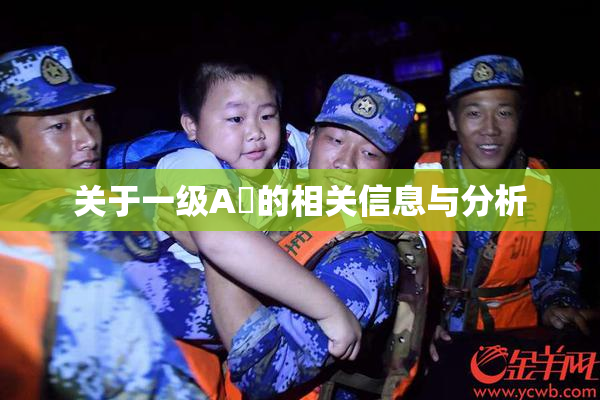关于一级A婬的相关信息与分析