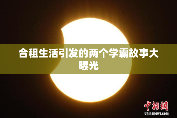 合租生活引发的两个学霸故事大曝光