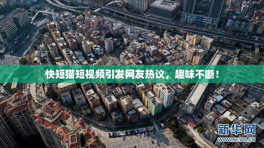快短猫短视频引发网友热议，趣味不断！