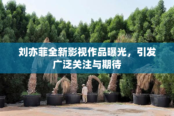 刘亦菲全新影视作品曝光，引发广泛关注与期待