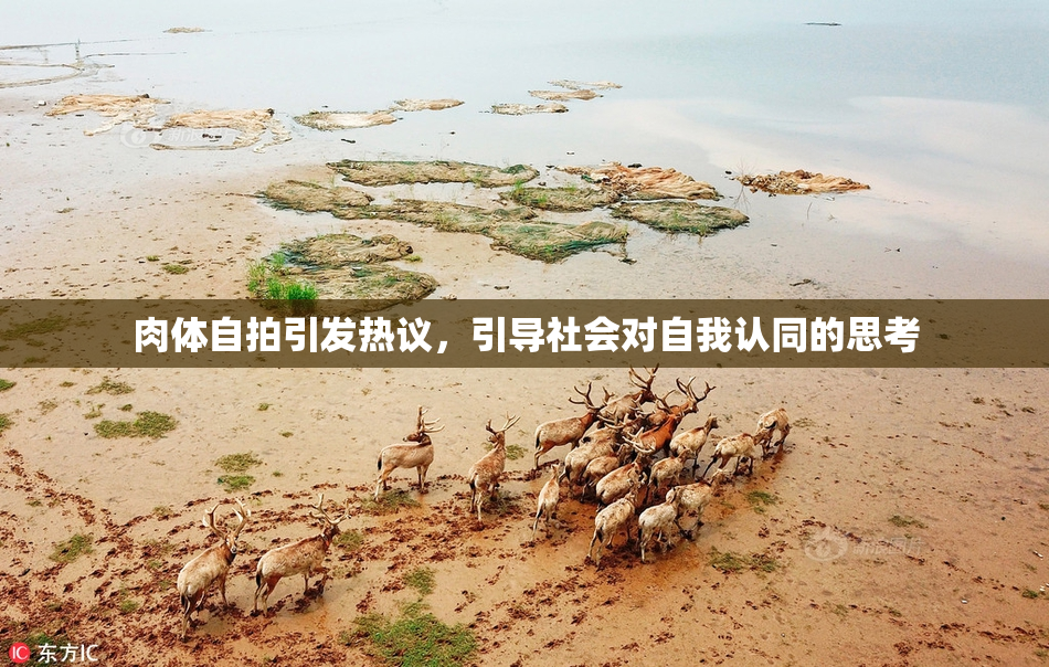 肉体自拍引发热议，引导社会对自我认同的思考