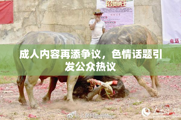 成人内容再添争议，色情话题引发公众热议